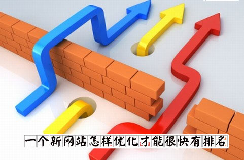 網(wǎng)站優(yōu)化排名圖片